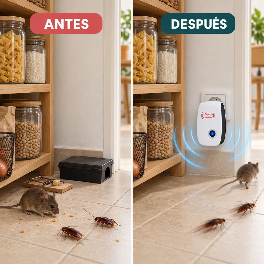 Antes y después: sin cebos ni trampas a la vista